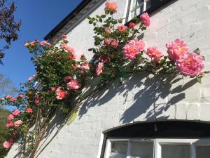 a bunch of flowers on the side of a building at Idyllic Stratford upon Avon cottage in Shottery