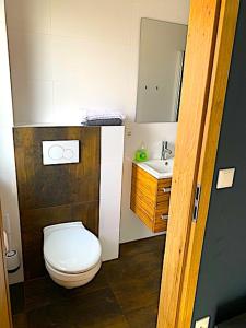 a small bathroom with a toilet and a sink at Apartment Bigler in Osloß
