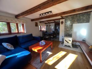 a living room with a blue couch and a table at Chatka Baby Jagi in Ściegny