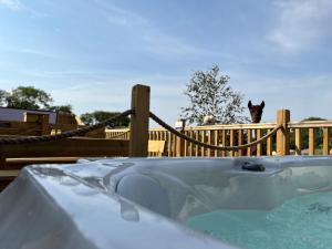 eine Wanne im Hinterhof mit einer Katze, die auf einem Zaun steht in der Unterkunft Lion King Safari Tent in Tenby