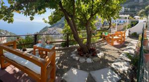 a group of benches sitting under a tree at CASA ENZO con vista mare in Amalfi