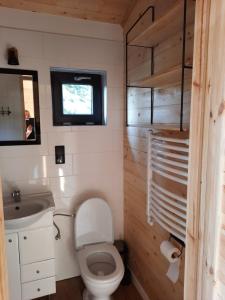 a small bathroom with a toilet and a sink at Wiatr i Woda Wdzydze in Wdzydze Kiszewskie