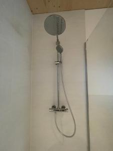 y baño con ducha con cabezal de ducha. en Apartment Relax - Stubenbergsee en Stubenberg