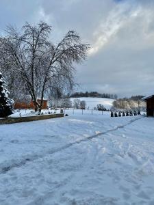 Imagem da galeria de Chata Jiřičná em Jiřičná