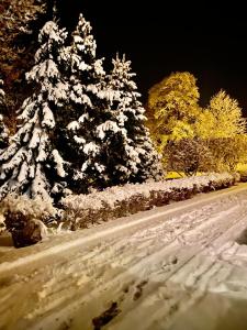 Imagem da galeria de Chata Jiřičná em Jiřičná