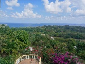 a view of a garden with flowers and the ocean at Royal Villa 360 in Port Antonio