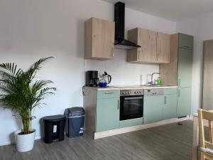 uma cozinha com um fogão verde e armários e uma planta em Pension Kirschgarten em Nebra