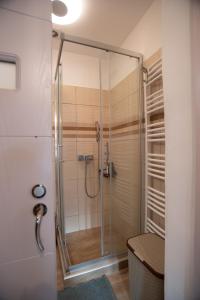eine Dusche mit Glastür im Bad in der Unterkunft Nordic Dream Apartment in Kikinda in Kikinda