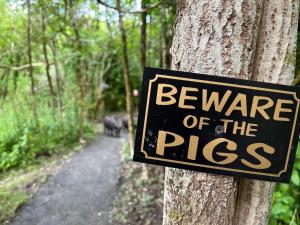 a sign on a tree that says beware of the pigs at Moonlight Dome Tent in Tenby