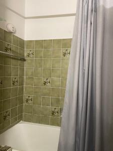 uma casa de banho com uma cortina de chuveiro e uma banheira em Lovely room in Düsseldorf nearly Düsseldorf Hbf em Dusseldorf