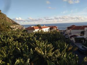 a group of houses on a hill next to the ocean at Casa MAR in Madalena do Mar