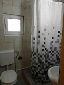 a bathroom with a toilet and a shower curtain at Vila Ivana in Mitrovac