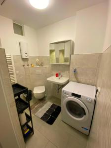 une petite salle de bains avec un lave-linge et un lavabo dans l'établissement Ferienwohnung Augsburg 2, à Augsbourg
