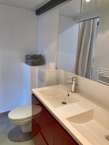 un bagno con lavandino, WC e specchio di Gujan-Mestras Chez Flo maison 4 places la hume a Gujan-Mestras