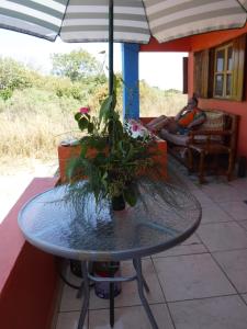 einen Tisch mit einer Topfpflanze auf einer Terrasse in der Unterkunft Jinack Lodge in Jinack Island