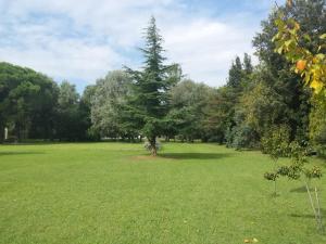 Zahrada ubytování Villa Carrer