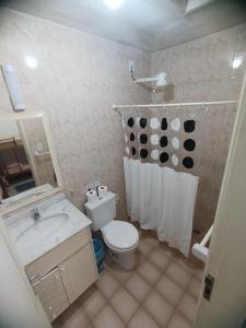 een badkamer met een toilet, een wastafel en een douche bij Hospedagem da Val in Paraty
