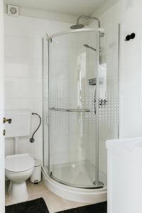 a glass shower in a bathroom with a toilet at Hegyi Pihenő in Zebegény