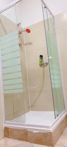 a shower with a glass enclosure in a bathroom at Premier Studio 2P LG in Vienna