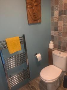 uma casa de banho com um WC e uma cabina de duche em vidro. em The Welcome Snug em Kinsale