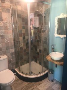 uma casa de banho com um chuveiro, um WC e um lavatório. em The Welcome Snug em Kinsale