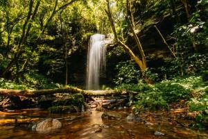 a waterfall in the middle of a forest at Mount Sheba Rainforest Hotel & Resort in Pilgrimʼs Rest