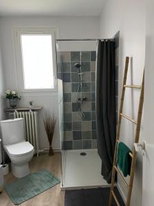 y baño con ducha y aseo. en Gîte indépendant à Andernos les bains à 500 m de la plage , commerces proximité et pistes cyclables, en Andernos-les-Bains