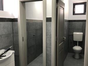 uma casa de banho com um WC e um lavatório em Casa Balcescu - INCHIRIERE INTEGRALA em Măngureni