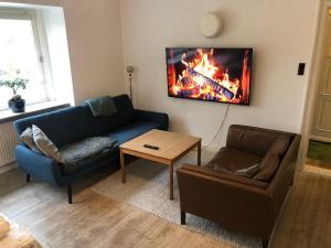 a living room with a couch and a fire on the wall at Lille Skovgaarden in Randers