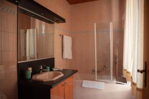 uma casa de banho com um lavatório e um chuveiro em Hôtel de L'Ours em Courroux
