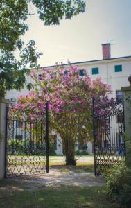 Zahrada ubytování Villa Carrer