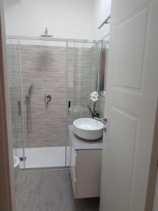 ラ・マッダレーナにあるVilla Mariaのバスルーム(洗面台、ガラス張りのシャワー付)