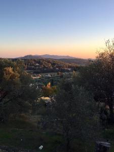 Príroda v okolí vily