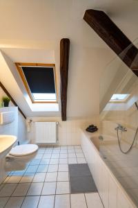 a bathroom with a toilet and a tub and a sink at Börde-Apartment 5 in Vahldorf