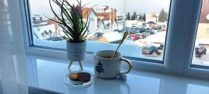 Fotografie z fotogalerie ubytování Apartman Mery in Kraljevi Čardaci v destinaci Kopaonik