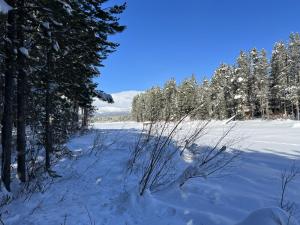 a snow covered field with trees in the background at Lakeside, Hot Tub Theater Room in Island Park