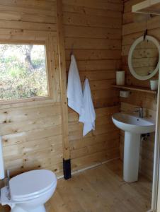 a bathroom with a toilet and a sink in a log cabin at Agricampeggio la casa di Nicla in Cavriglia