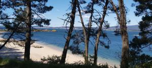 uma vista para uma praia com árvores no primeiro plano em Quintana&lev em Viveiro