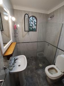 y baño con aseo, lavabo y ducha. en Hermoso Chalet en zona privilegiada de Villa Giardino en Villa Giardino