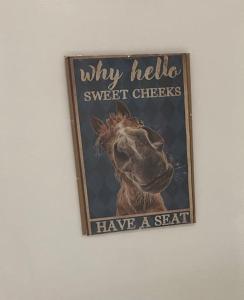 a sign that says why hello sweetchecks has a camel at Studio 2 in Matlock
