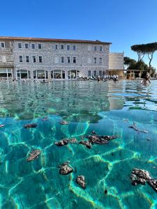 a pool of water with turtles in front of a building at Casale Terre Rosse in Saturnia