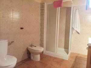 a bathroom with a toilet and a shower at casas rurales ivan el penas 3 in Letur