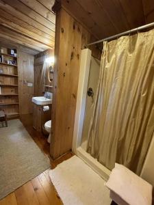 a bathroom with a shower and a sink and a toilet at MACKINNEY CAMP - LIMIT 8 cottage in Standish +15 photos