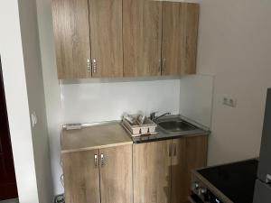 a small kitchen with a sink and wooden cabinets at HG apartment in Jelah