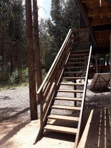 a set of wooden stairs leading to a cabin at Habitación con baño privado containers, auto sustentable in Pelluhue