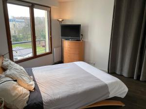 Schlafzimmer mit einem Bett, einem TV und einem Fenster in der Unterkunft Issy - les jardins du séminaire in Issy-les-Moulineaux