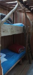 Poschodová posteľ alebo postele v izbe v ubytovaní Cabanes des Landes- cabane sur pilotis