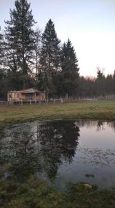 Príroda v okolí dovolenkového domu