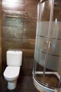 een badkamer met een toilet en een douche bij Calle de las Bulas - Judería in Toledo