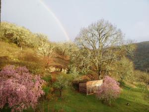 Příroda nedaleko bed and breakfast